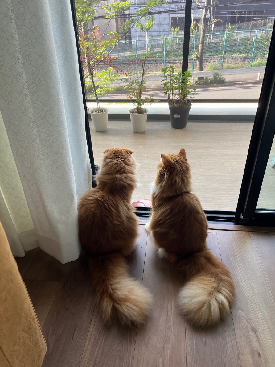 ホームページ開設しました‼